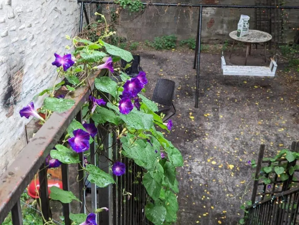 Friendly Homestay In Williamsburg Brooklyn New York 0*,