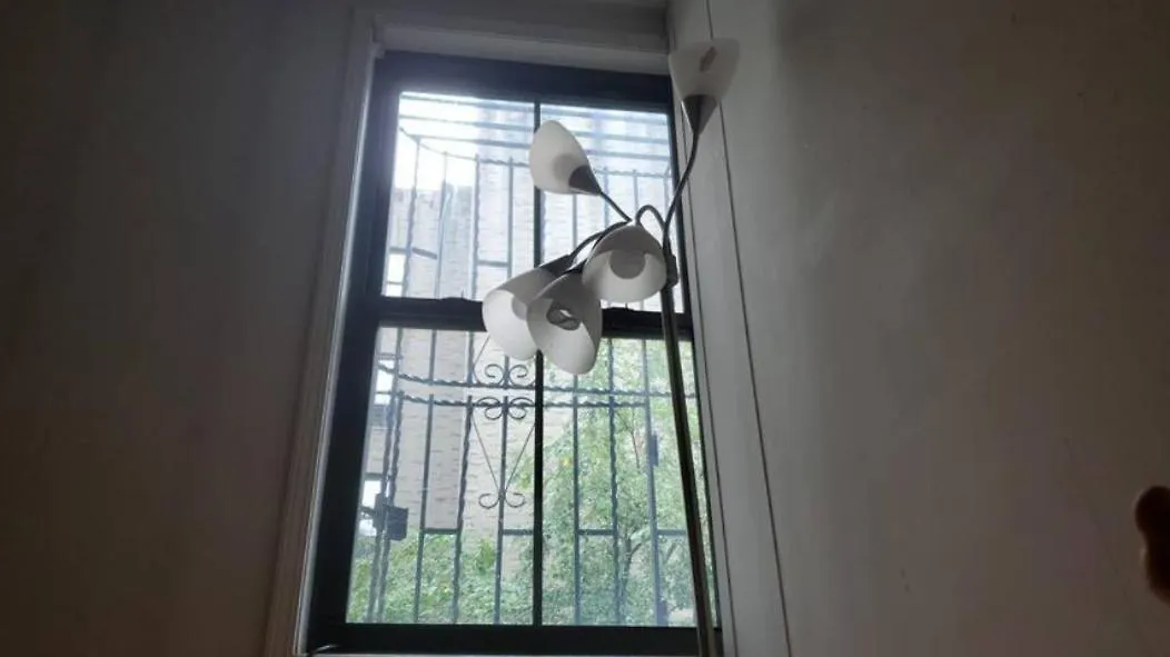 Friendly Homestay In Williamsburg Brooklyn New York